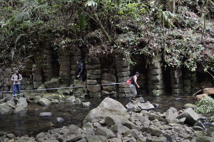 Keajaiban Sawang yang Menggoda